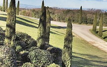 Billeder fra gæster i La Rimessa