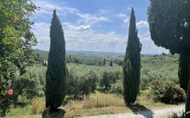 Billeder fra gæster i Il Leccio