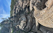 Billeder fra gæster i Bel Air