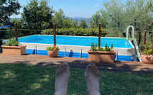 Billeder fra gæster i Il Circolo