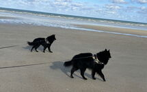 Billeder fra gæster i Neptune