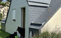 Billeder fra gæster i Neptune