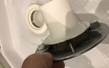 Billeder fra gæster i La Palmera
