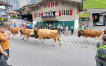 Billeder fra gæster i Lauterbrunnen 101