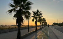 Billeder fra gæster i Silvia