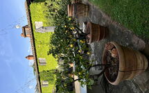 Billeder fra gæster i Podere la Torre