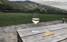 Billeder fra gæster i Tenuta Pomona