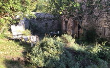 Billeder fra gæster i Du Brun