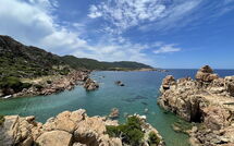 Billeder fra gæster i Li Cossi