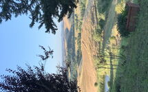 Billeder fra gæster i Lajatico 602