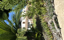 Billeder fra gæster i Villa Finca Labranza