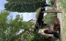 Billeder fra gæster i Agriturismo Il Molinello