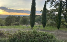 Billeder fra gæster i Podere Orietta