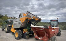 Billeder fra gæster i Sole nel Prato