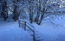 Billeder fra gæster i Chalet 969