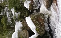 Billeder fra gæster i Desná V Jizerských Horách 841