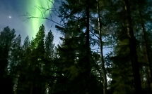 Billeder fra gæster i Harvana