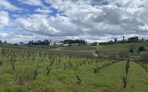 Billeder fra gæster i Dependance di Villa Magna