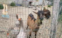 Billeder fra gæster i Bon Port