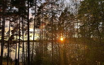 Billeder fra gæster i Metsä-Iivari
