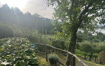 Billeder fra gæster i Villa Flora