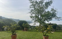 Billeder fra gæster i Villa Flora