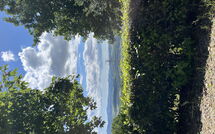 Billeder fra gæster i Casolare Ser Chelino