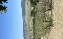 Billeder fra gæster i Casolare Ser Chelino