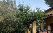 Billeder fra gæster i Poggio Cuccule