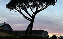 Billeder fra gæster i Antonia