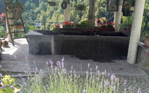 Billeder fra gæster i Il Gianlupo Grigio