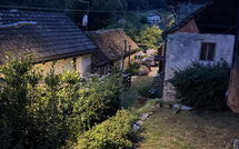 Billeder fra gæster i Il Gianlupo Grigio