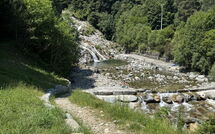 Billeder fra gæster i Il Gianlupo Grigio