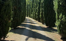 Billeder fra gæster i Podere Valcellino