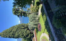 Billeder fra gæster i Gianni