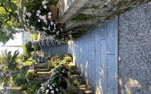 Billeder fra gæster i Gianni