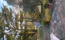 Billeder fra gæster i La Casina del Bosco