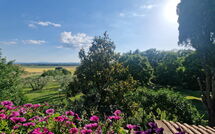 Billeder fra gæster i Villa Cecilia