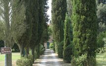 Billeder fra gæster i Villa Fontine