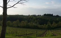 Billeder fra gæster i Borgo Tollena