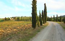 Billeder fra gæster i Borgo Tollena