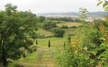 Billeder fra gæster i Villa Carolina