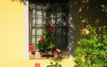 Billeder fra gæster i Limoni