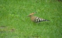 Billeder fra gæster i Casa Lucia