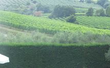 Billeder fra gæster i Villa San Filippo