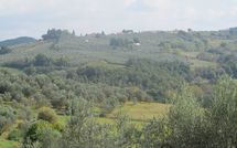 Billeder fra gæster i Montegufoni