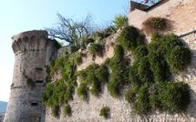 Billeder fra gæster i Villa Carolina