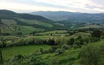 Billeder fra gæster i La Chiantigiana