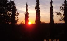 Billeder fra gæster i Podere Orietta