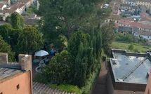 Billeder fra gæster i Certaldo